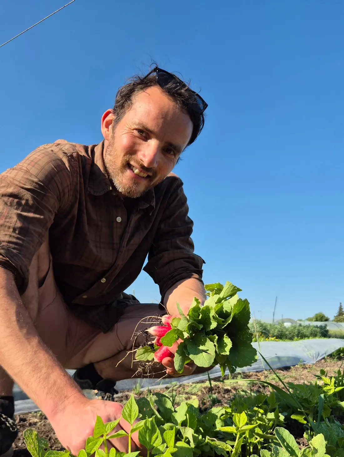 Un projet de ferme maraîchère financé sur MiiMOSA