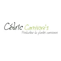 Cedric Carnivores