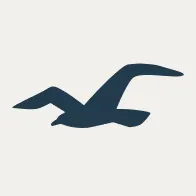 Hollister