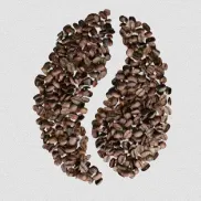 Hop Café