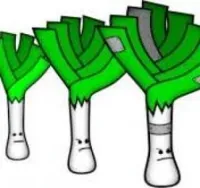 Leek Wars