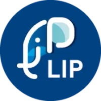 LIP Interim
