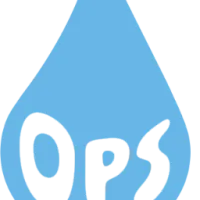 Mintos