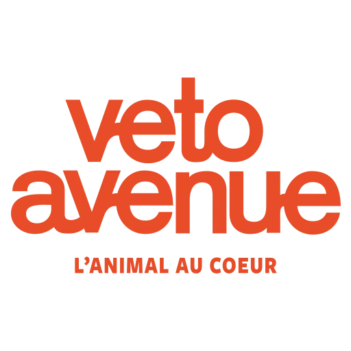 Vetoavenue