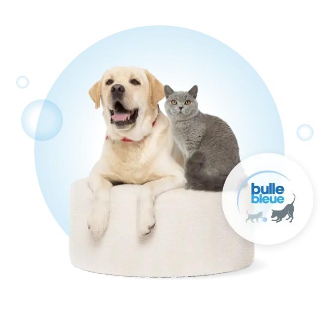 Capture d'écran de Bulle Bleue: Assurance &amp; mutuelle animaux chat et chien