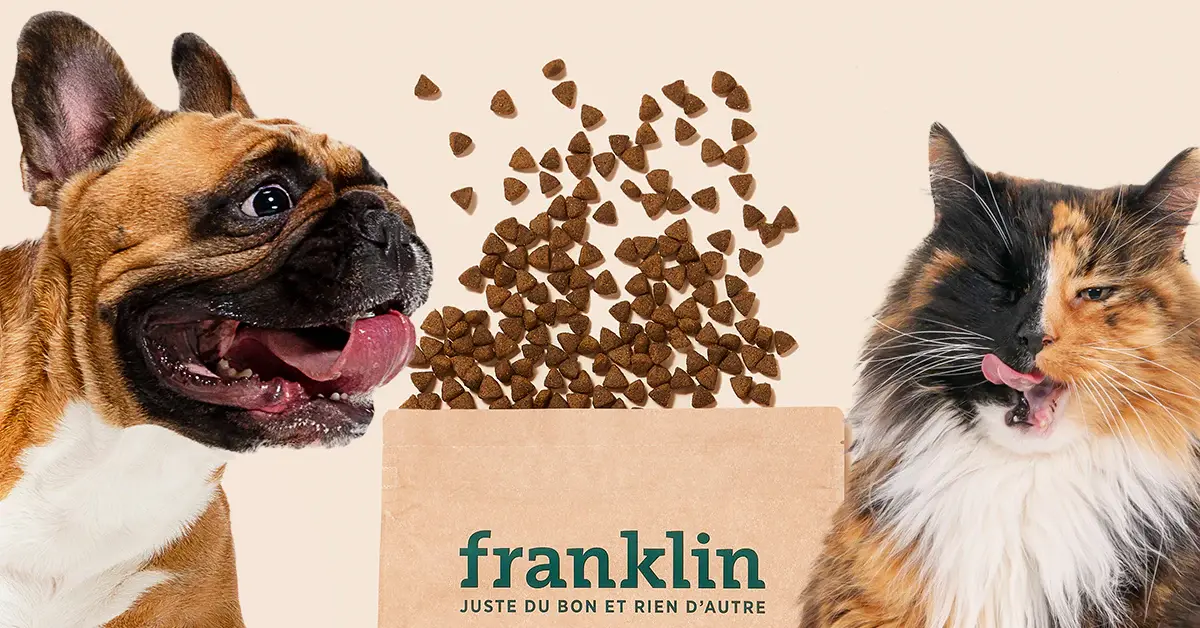 Capture d'écran de Alimentation chat et chien : les meilleures croquettes sans céréales !
        
 