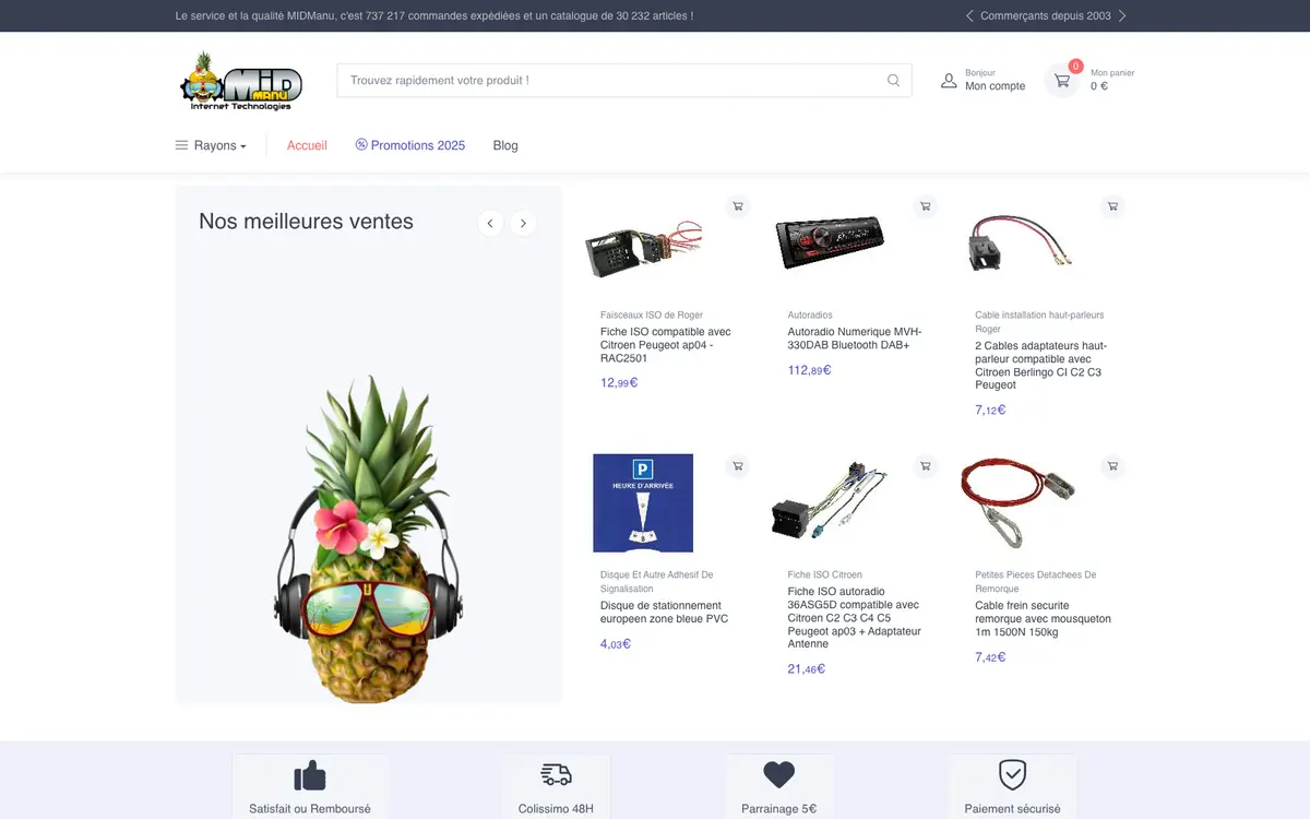 Aperçu du site MIDManu