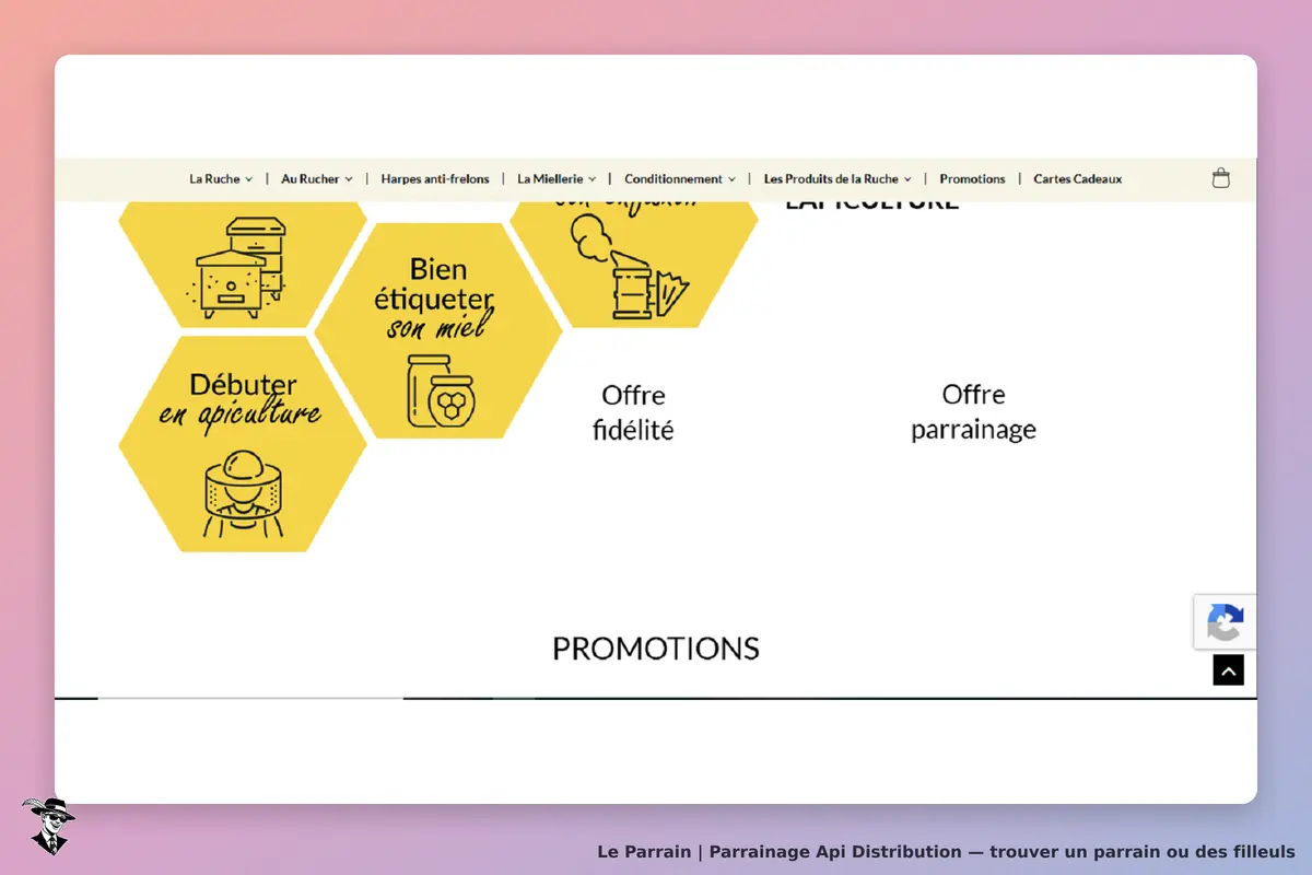 Api Distribution : hexagones avec conseils sur l'apiculture et offres promotionnelles
