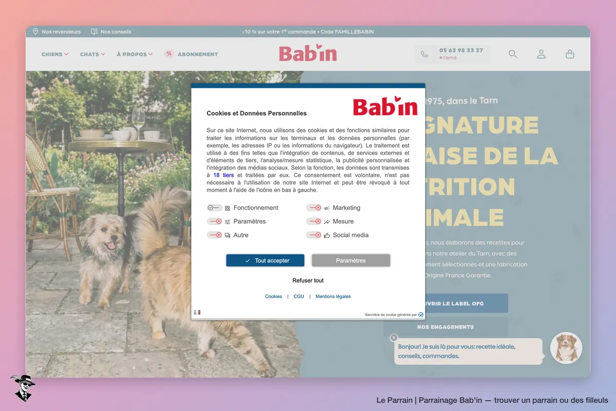 Page d'accueil de Bab'in