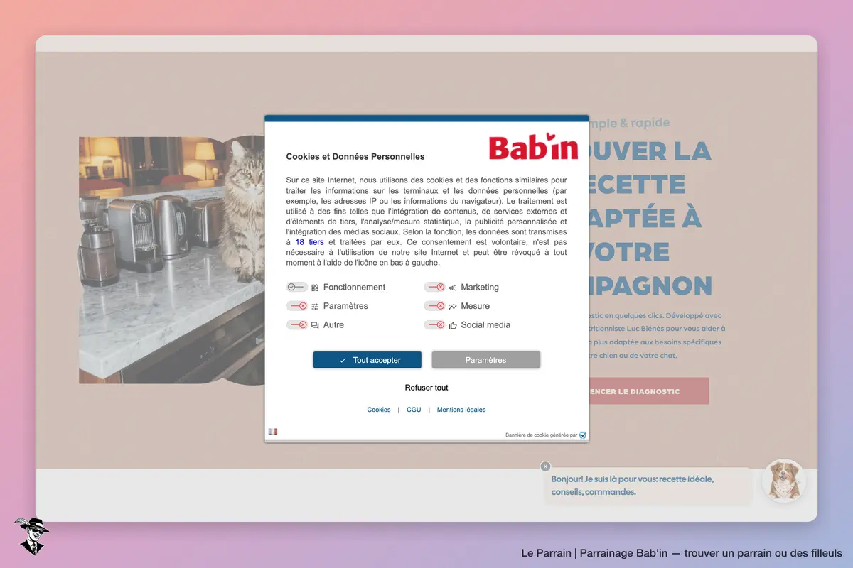 Capture d'écran de Bab'in