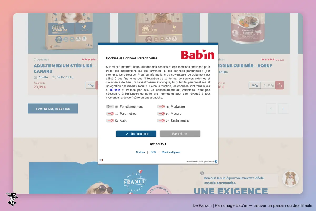 Capture d'écran de Bab'in