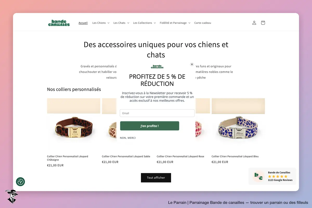 Page d'accueil de Bande de canailles