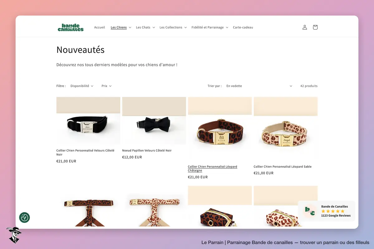 Page catégorie de Bande de canailles