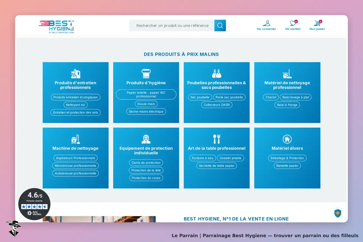 Best Hygiene : page d'accueil avec catégories de produits d'entretien et d'hygiène professionnelle