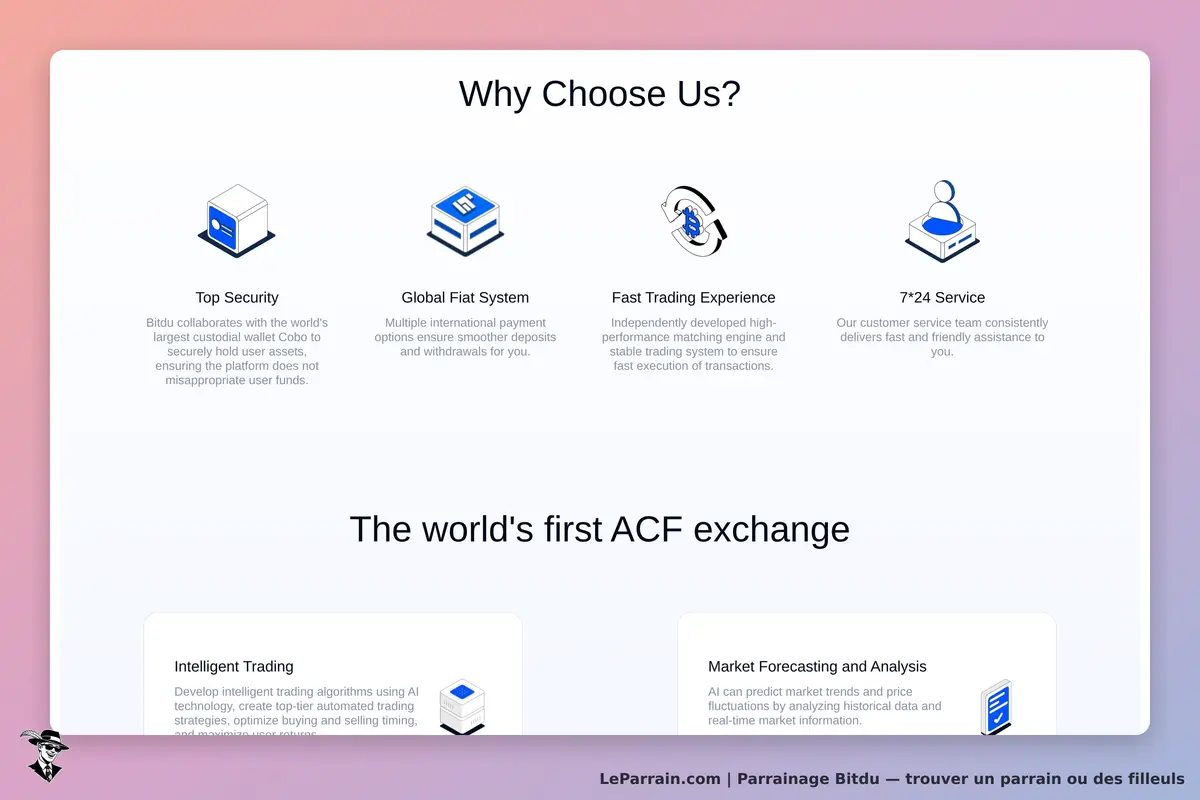 Bitdu : section "Why Choose Us?" avec icônes et descriptions des services proposés