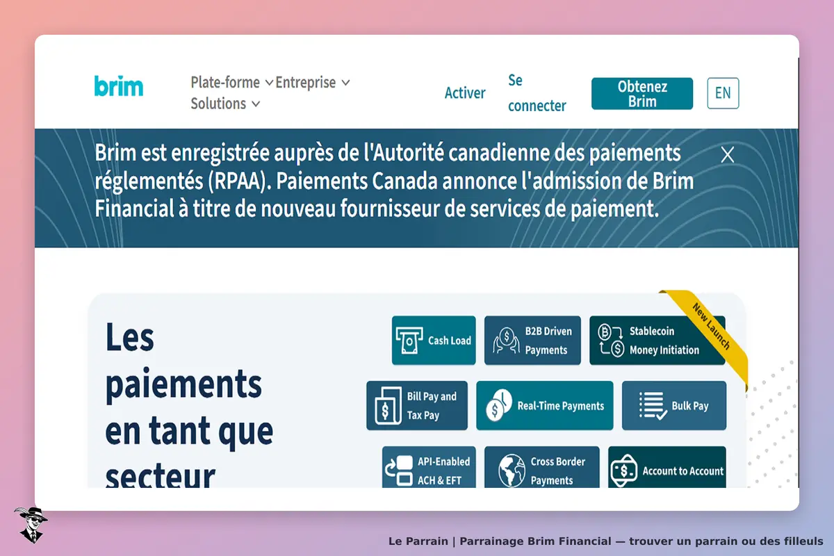 Brim Financial : brim : page d'accueil présentant des solutions de paiement et informations