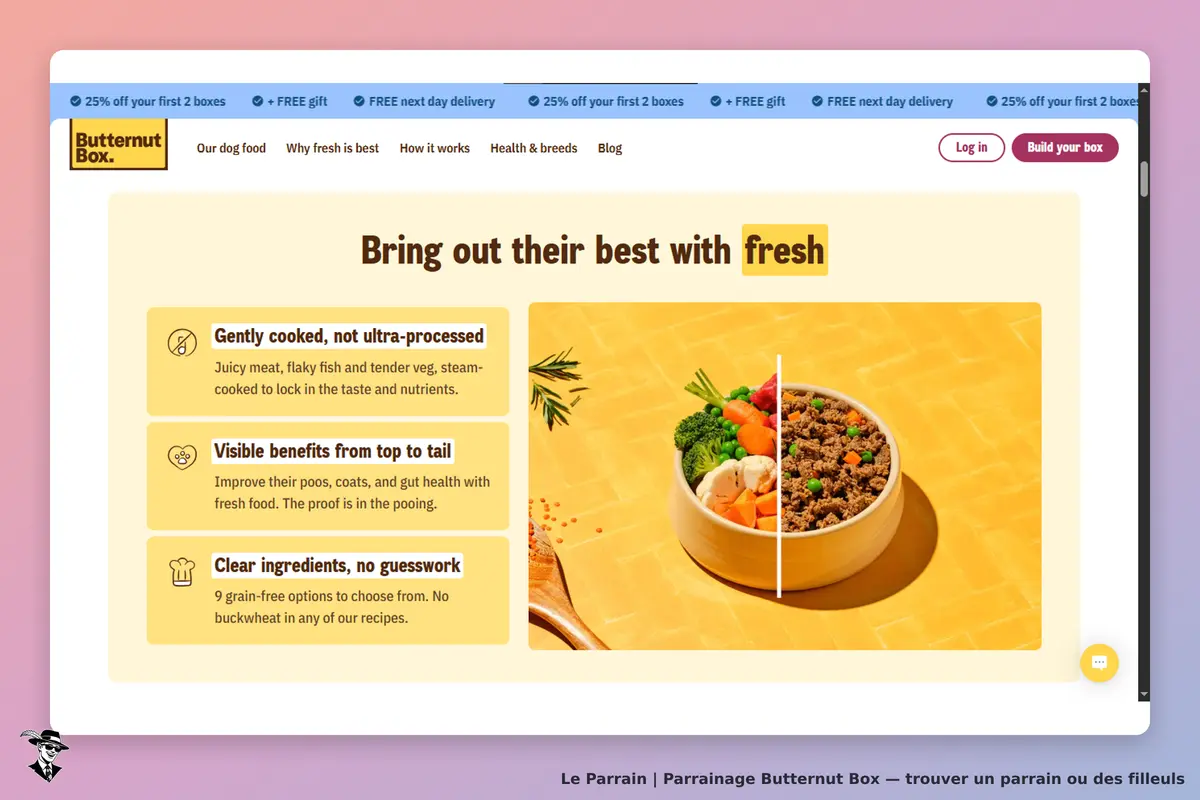 Butternut Box : présentation d'aliments frais pour animaux avec visuel d'un plat préparé
