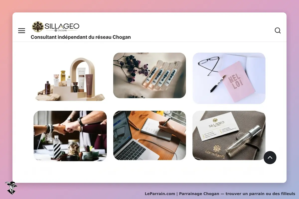Chogan : page d'accueil présentant divers produits et activités de consultants Sillageo