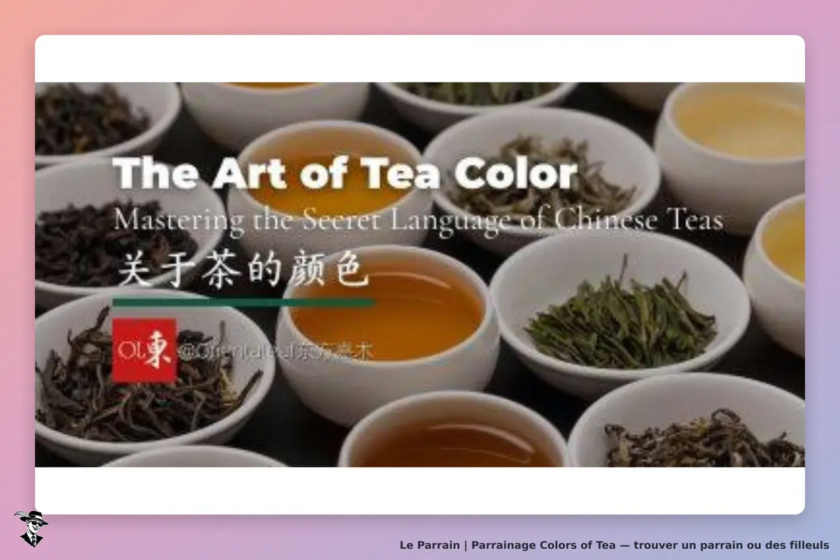 Colors of Tea : plusieurs tasses de thé et de feuilles de thé sur un fond sombre