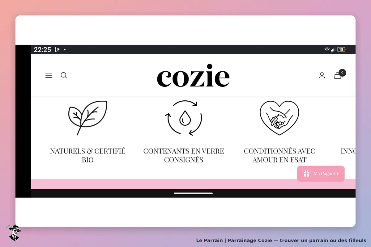 Cozie : page d'accueil avec icônes sur les produits naturels et bio, verre consigné et ESAT