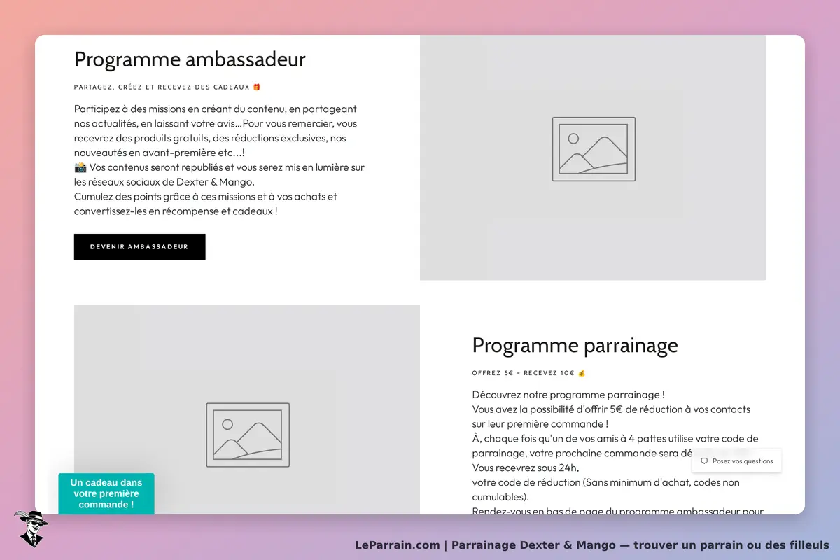Dexter & Mango : section sur les programmes ambassadeur et parrainage avec illustrations vides