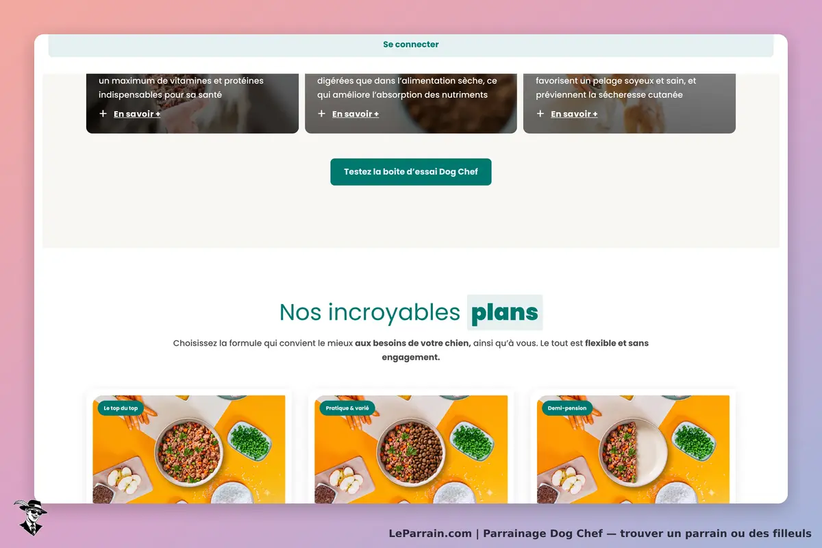 Dog Chef : page d'accueil présentant des plats pour chiens et des options d'abonnement