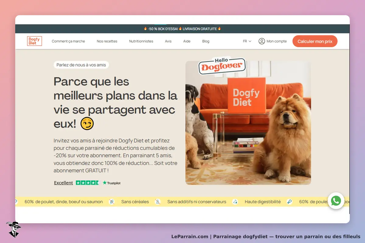dogfydiet : dogfy Diet : page d'accueil avec chiens, canapé orange et informations sur le