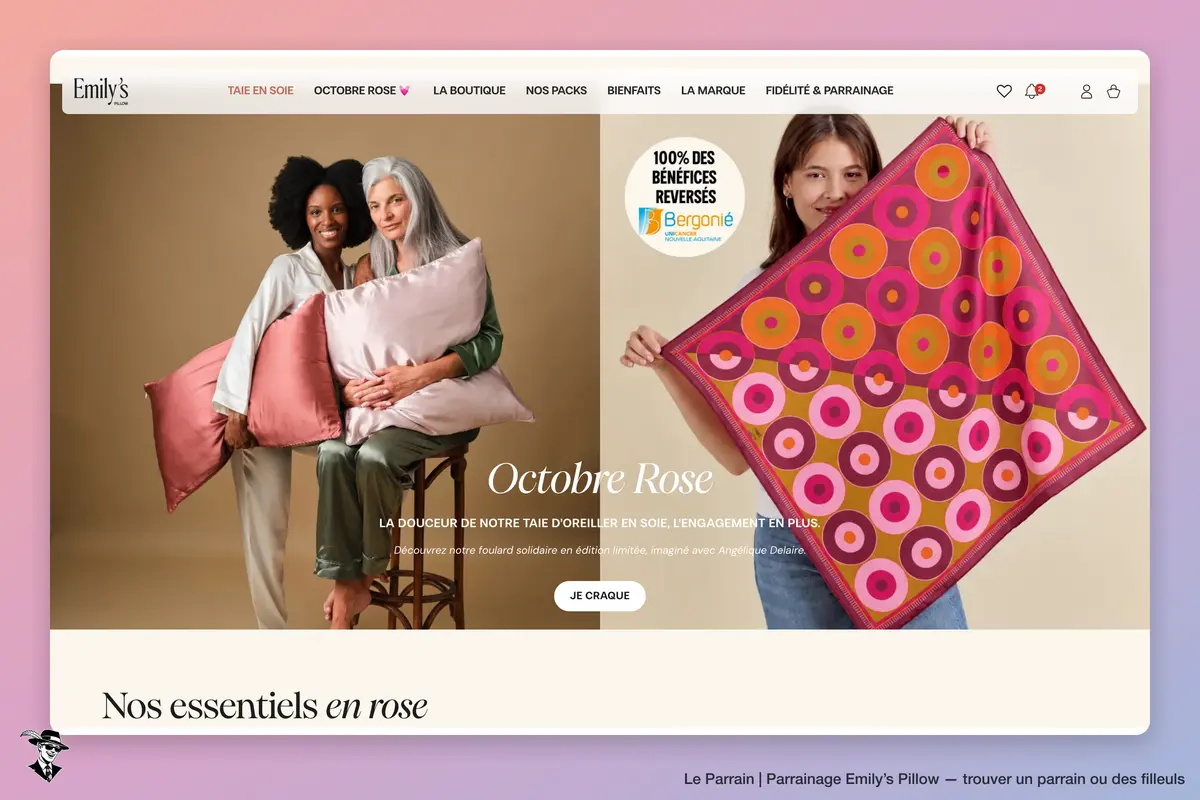 Page d'accueil de Emily’s Pillow