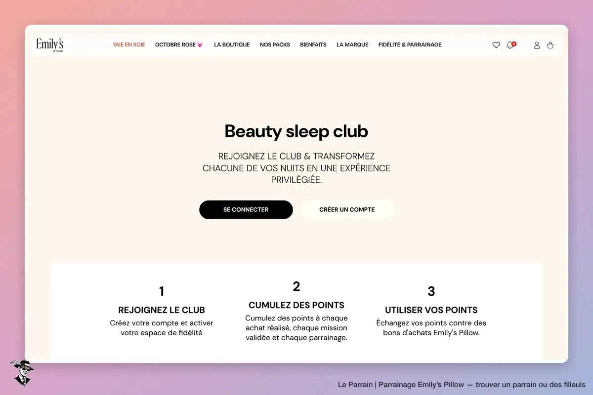 Page parrainage de Emily’s Pillow