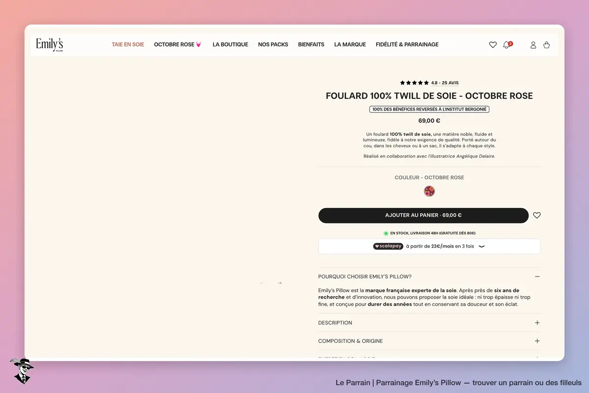 Page produit de Emily’s Pillow