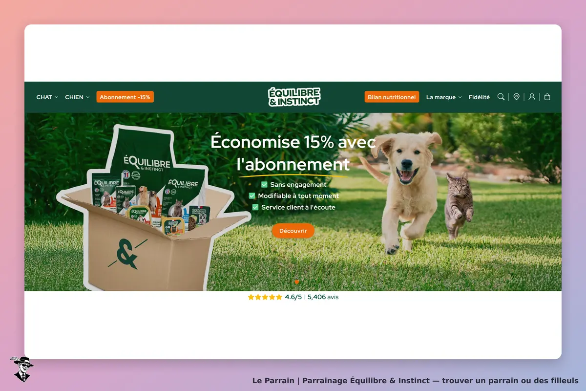 Équilibre & Instinct : un chiot et un chat jouent sur une pelouse, avec des produits en boîte