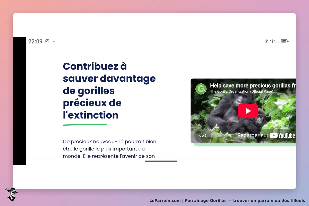 Gorillas : message sur la sauvegarde des gorilles et vidéo YouTube affichée à droite