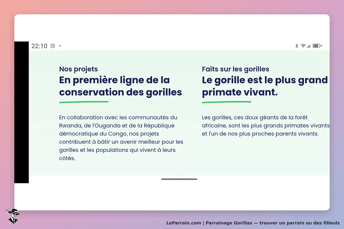 Gorillas : texte sur la conservation des gorilles et faits sur leur espèce