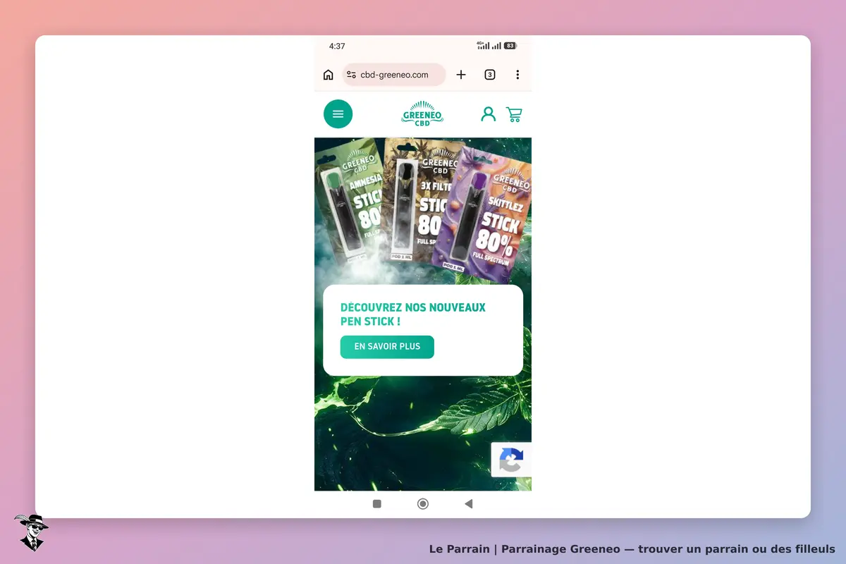 Greeneo : page d'accueil présentant des pen sticks avec un bouton pour en savoir plus