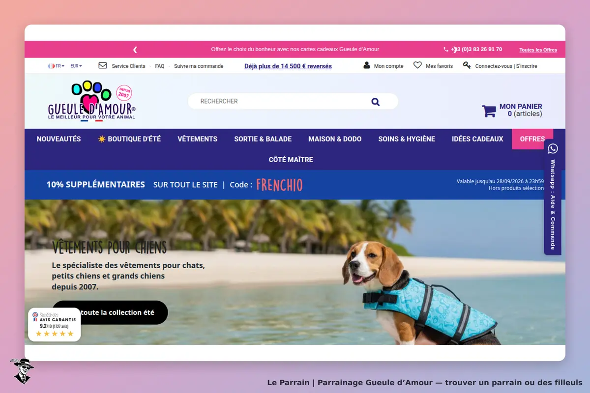Gueule d’Amour : page d'accueil avec un chien en maillot de bain sur une plage ensoleillée