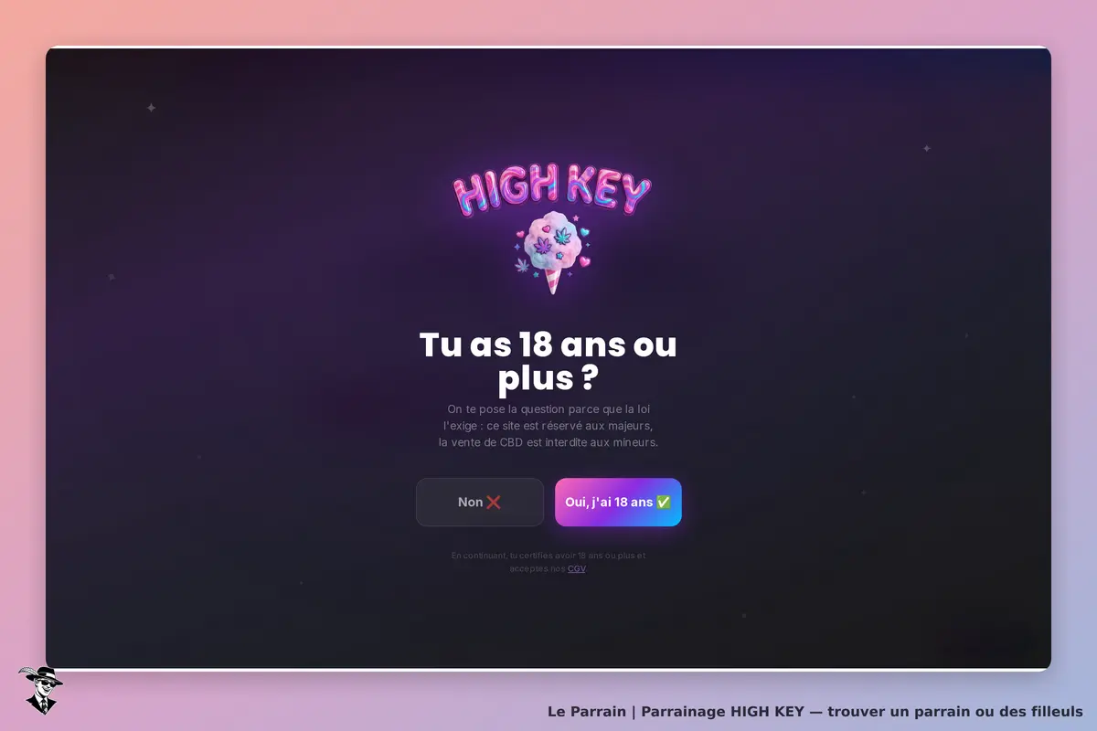 HIGH KEY : page d'accueil avec question sur l'âge et deux boutons de réponse