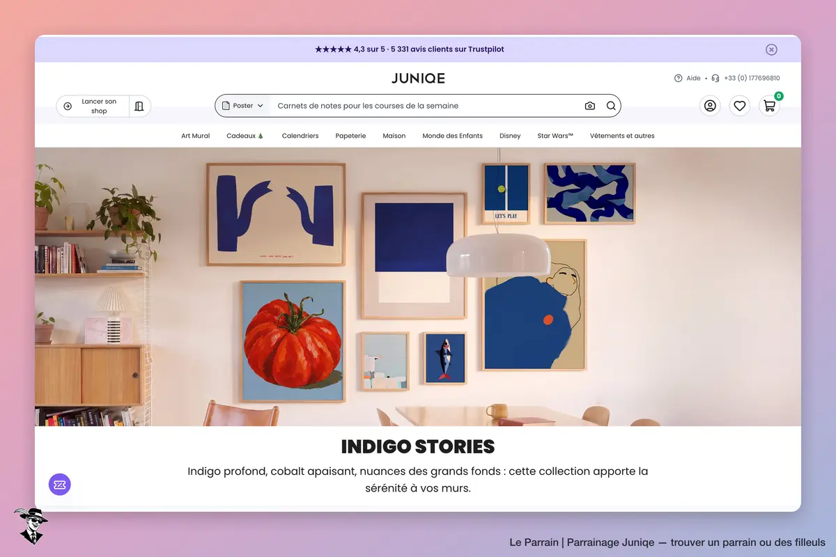 Page catégorie de Juniqe