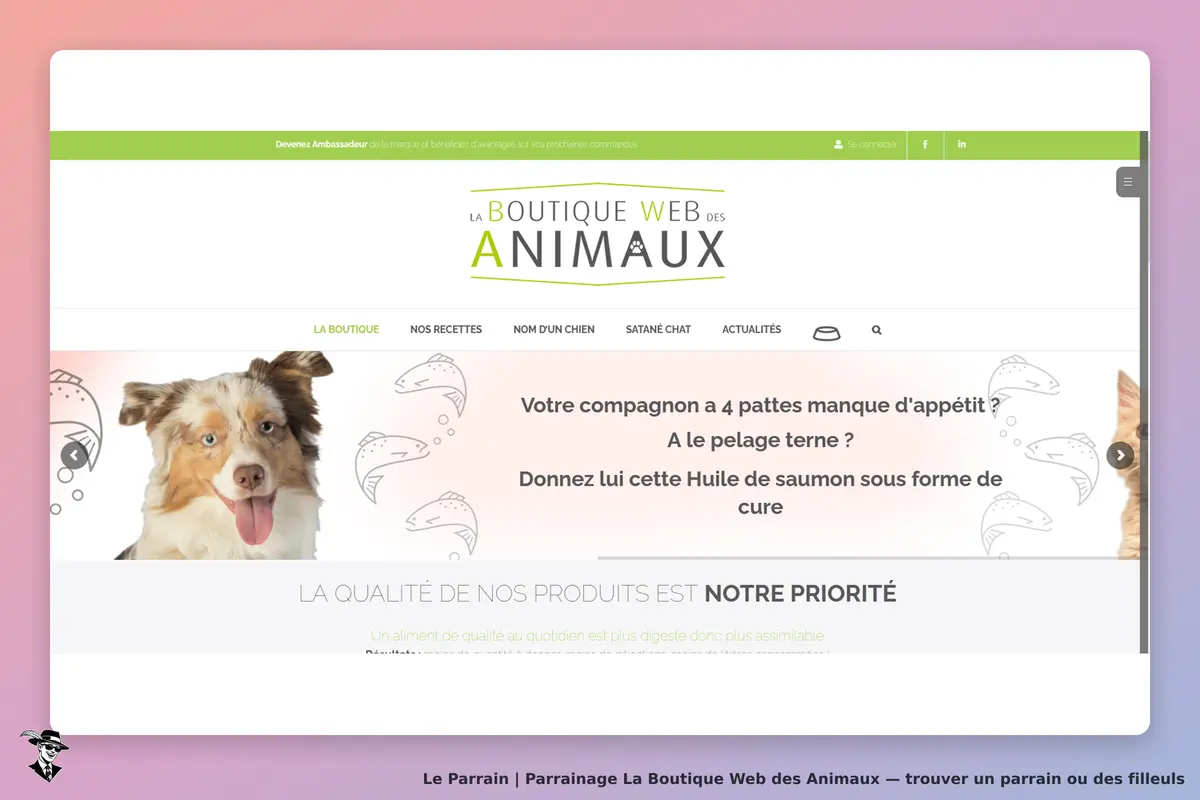 La Boutique Web des Animaux : page d'accueil avec un chien et des conseils pour l'alimentation