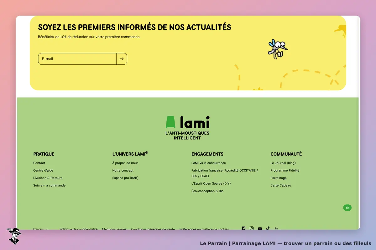 LAMI : section de la page d'accueil avec un formulaire d'inscription à la newsletter