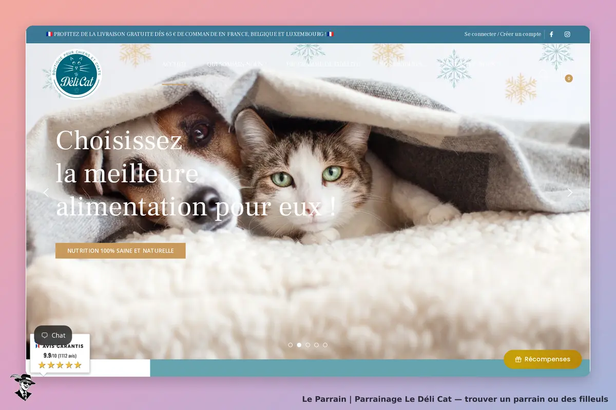 Le Déli Cat : deux animaux, un chien et un chat, cachés sous une couverture sur la page d'accueil