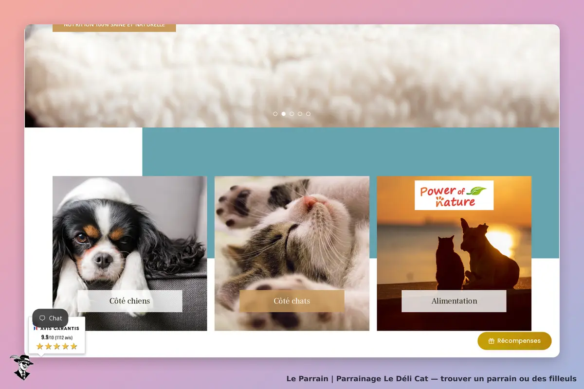 Le Déli Cat : page d'accueil avec images de chiens, chats et alimentation pour animaux