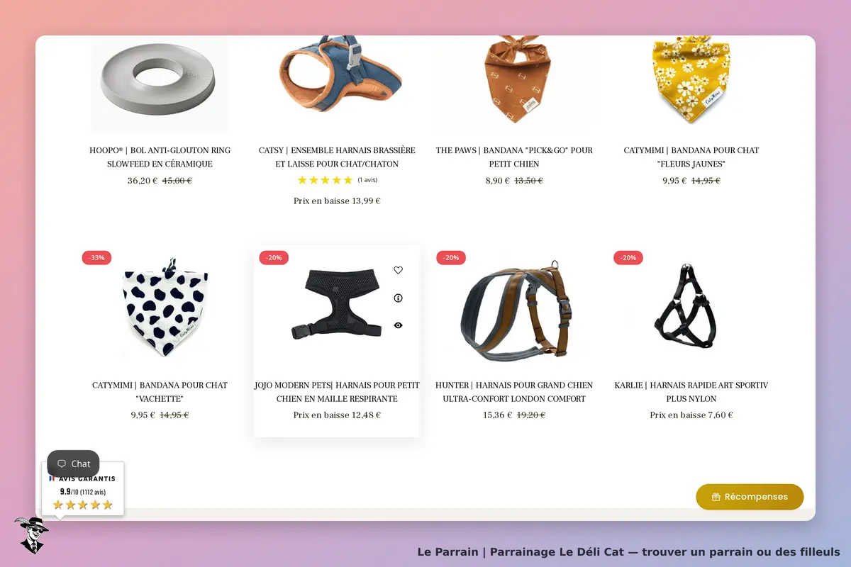 Le Déli Cat : produits pour animaux avec harnais, bandanas et accessoires divers affichés