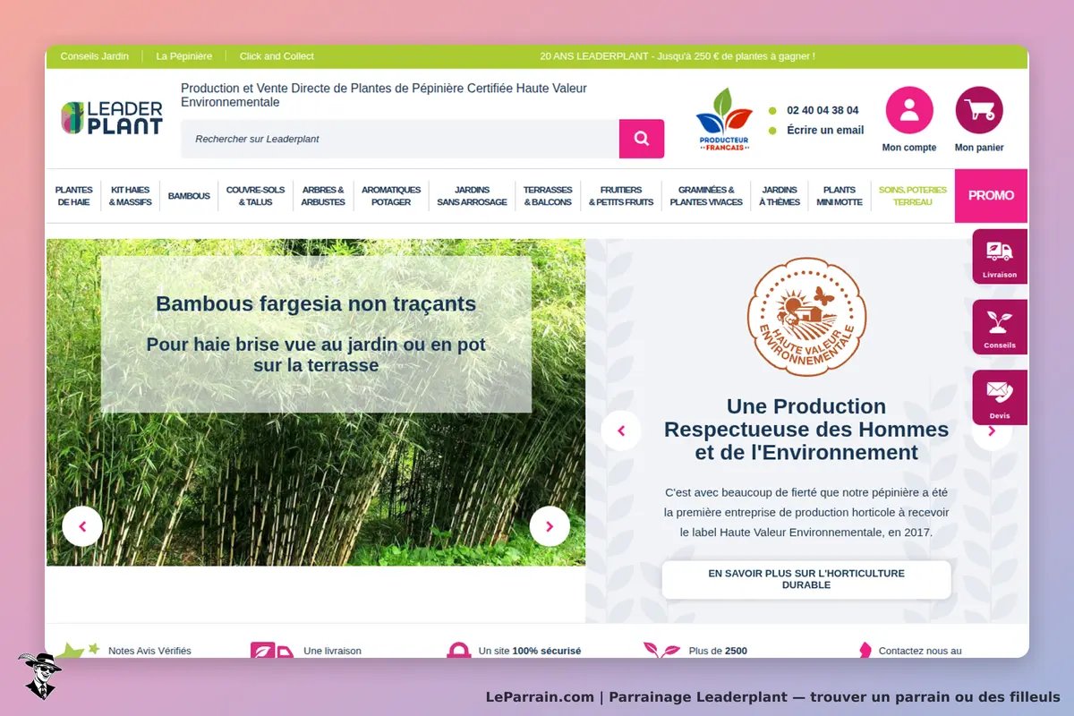 Leaderplant : page d'accueil avec image de bambous et informations sur la production durable