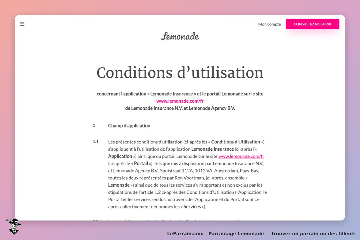 Lemonade : texte des conditions d'utilisation sur fond dégradé, avec lien vers le site