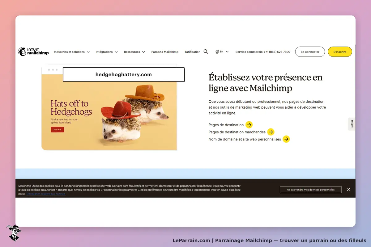Mailchimp : page d'accueil avec des hérissons portant des chapeaux et un message d'accueil