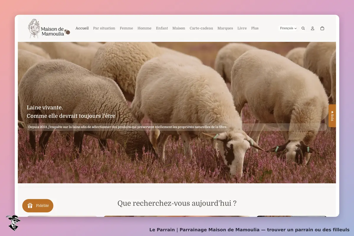 Maison de Mamoulia : page d'accueil avec des moutons dans un champ fleuri et un texte sur la laine