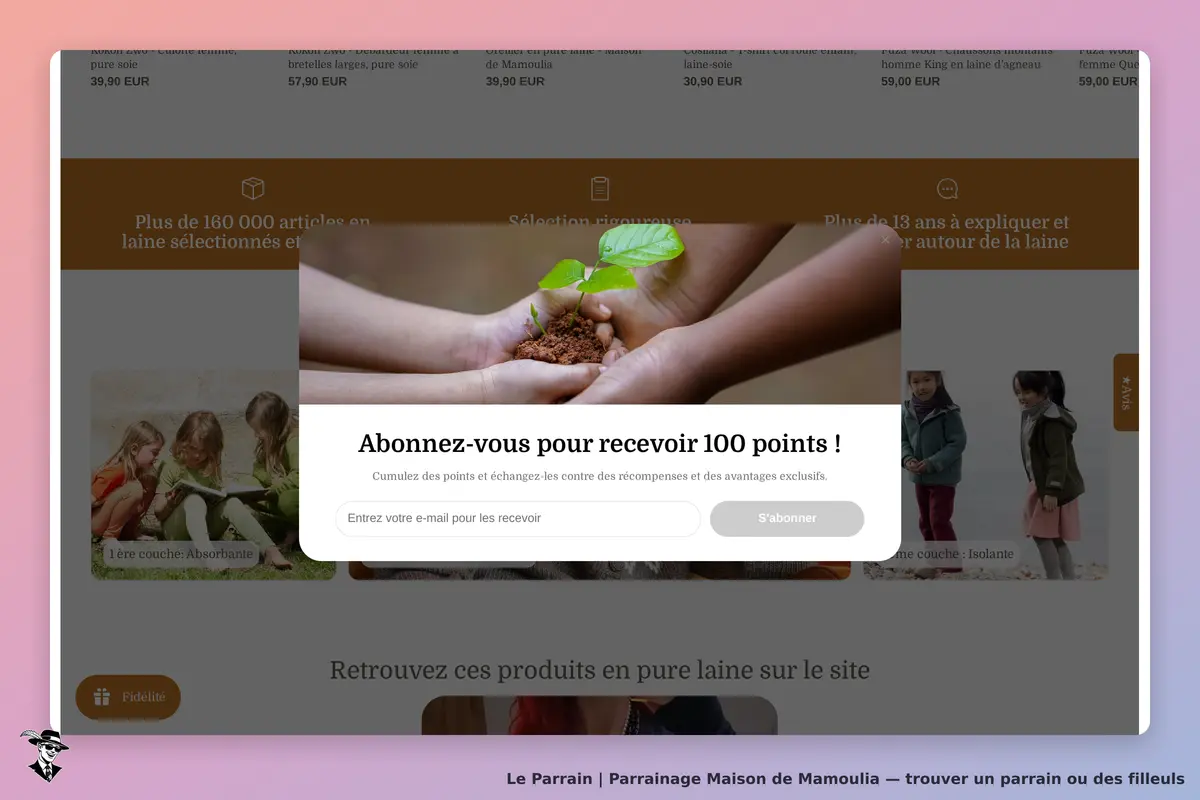 Maison de Mamoulia : page d'accueil avec formulaire d'abonnement et produits en laine affichés