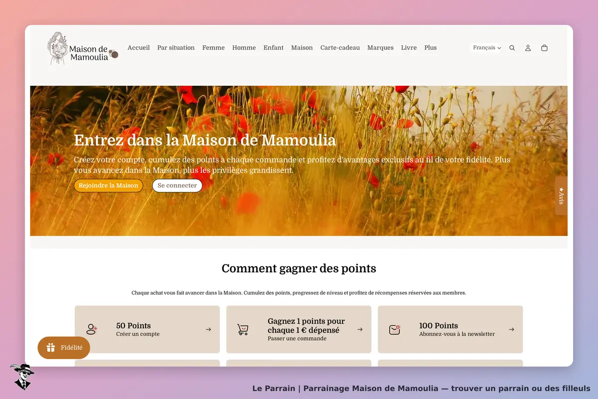 Maison de Mamoulia : page d'accueil avec un champ de fleurs et options pour créer un compte