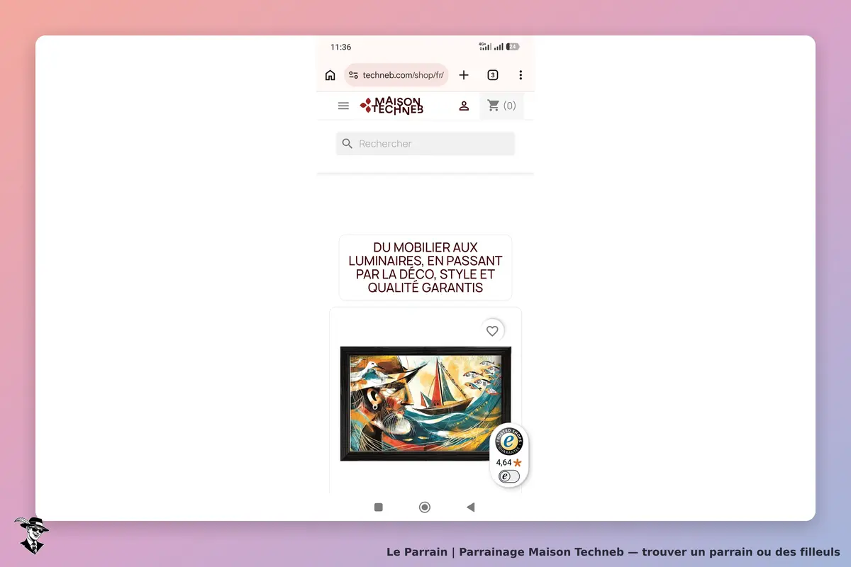 Maison Techneb : page d'accueil avec un tableau coloré et un message sur le mobilier et la déco