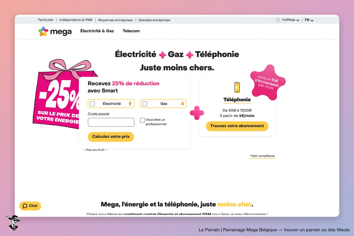 Page d'accueil de Mega Belgique